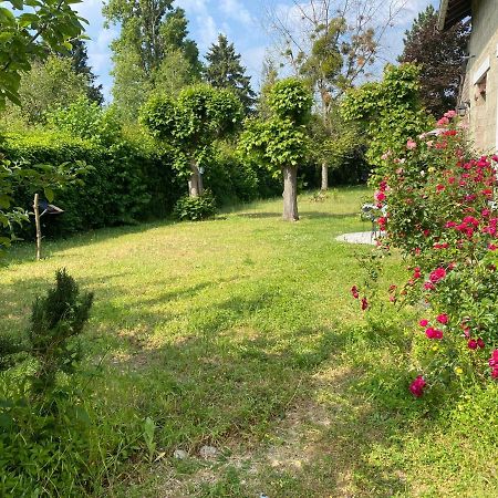 Studio Epicea Avec Jardin Dans Charmante Propriete 梅里索瓦茨 外观 照片
