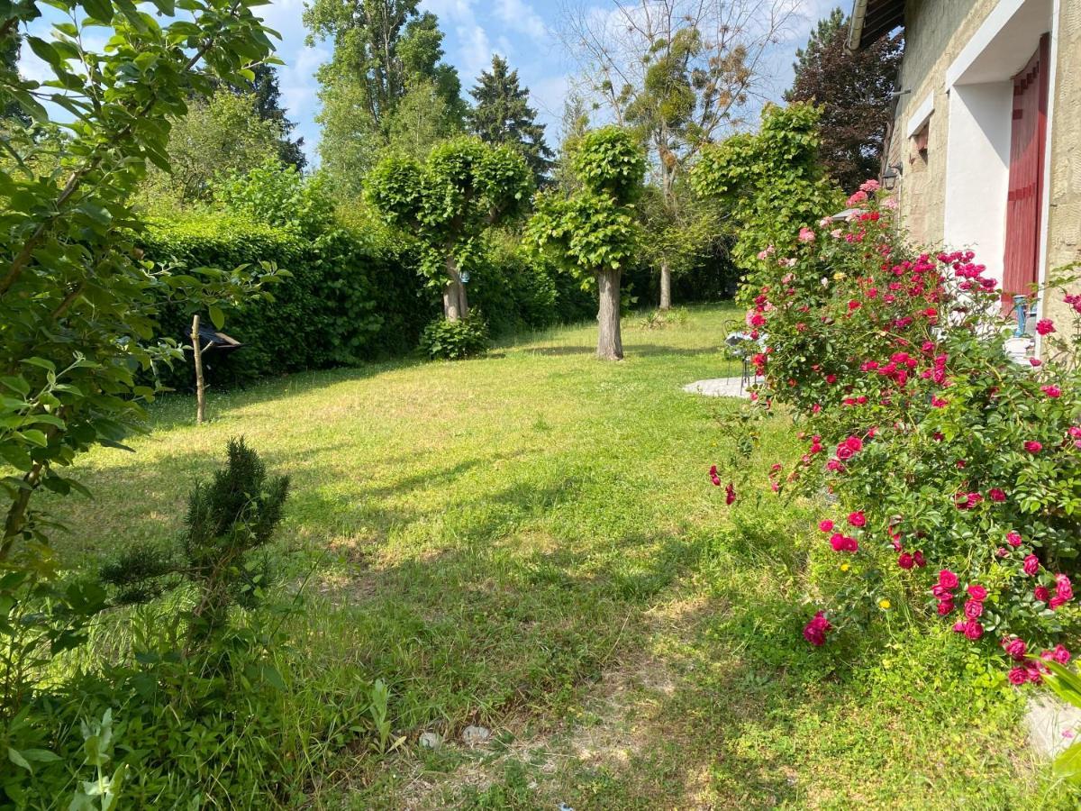 Studio Epicea Avec Jardin Dans Charmante Propriete 梅里索瓦茨 外观 照片